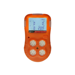 Détecteur portable multi-gaz BX-616 - LINSTRUMENT